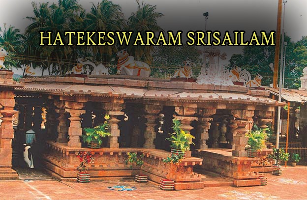 HATEKESWARAM SRISAILAM HATEKESWARAM SRISAILAM