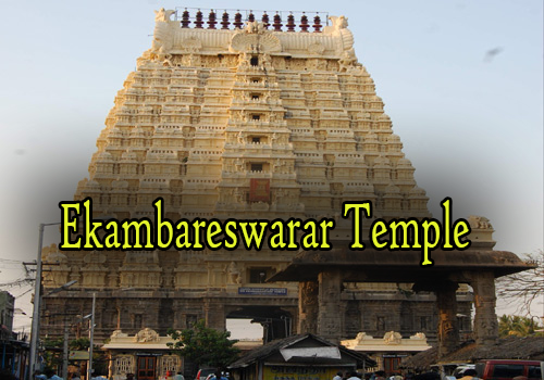 Sri Ekambareswarar Temple kanchipuram