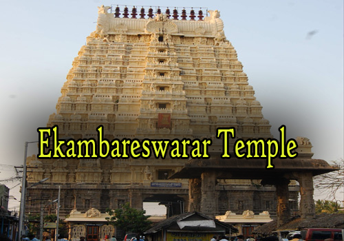 Sri Ekambareswarar Temple kanchipuram Sri Ekambareswarar Temple kanchipuram